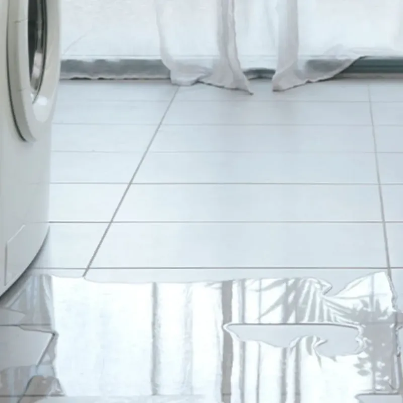 Appliance Leak Cleanup in Tanner, WA
