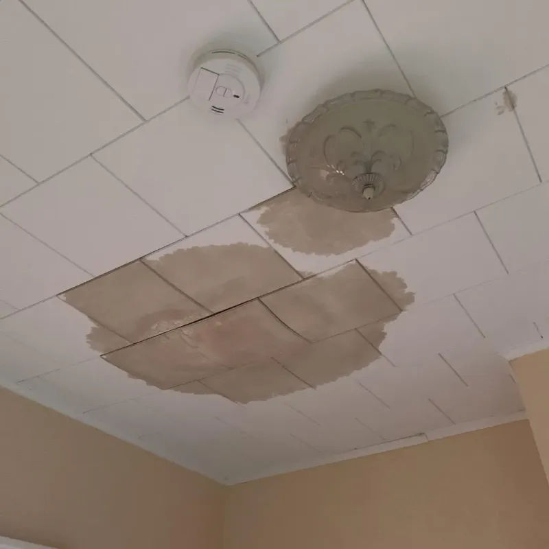 Ceiling Water Damage Repair in Tanner, WA